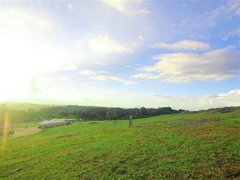 Preselling Golden Haven Memorial Park Lot Iriga  .